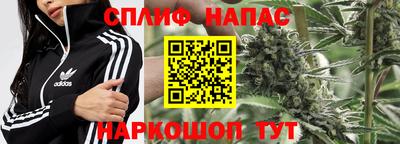 PSILOCYBIN Конаково